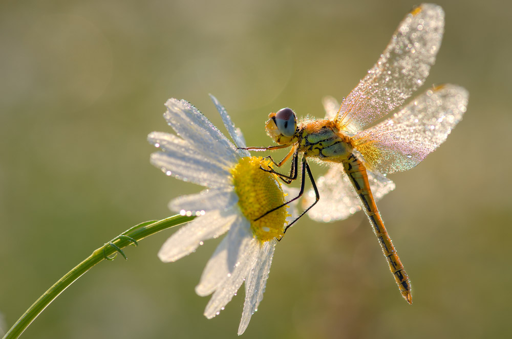 Platz 3 Robert Seitz